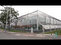 yt multi span glass greenhouse