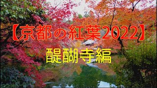 【京都の紅葉2022】醍醐寺編　Kyoto、Autumn leaves、Daigoji Temple