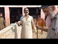 haidry cattle farm and goat farm famous goat farm of bahawalnagar