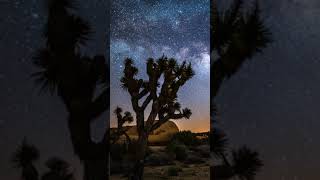 Stardust • Beautiful Relaxing Music & Starry Night (Preview) #Shorts