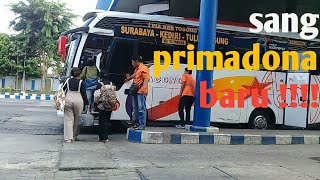 BERSAMA BUS BAGONG sang primadona baru # tulungagung - kediri - surabaya