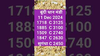 #bundi मंडी Today dhan rate 11-12-24 #धान #1509 #farming. #paddyratetoday #dhankalebhav