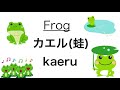 japanesespeaking animal name 動物名前learning日本語basiclessonどうぶつjapanlanguagetranslationにほんごbeginner