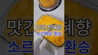 오렌지류 과일샀는데 맛없으면 너무 짜증나잖아요 간단한 레시피로 소르베 환승연애 하자구요