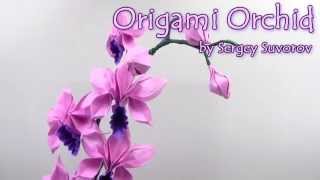 Origami Orchid - Yakomoga Origami