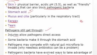 Chapter 15 Video   Innate and Adaptive Immunity