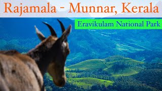 Rajamalai Eravikulam National Park in Munnar - Top Tourist Destination in Munnar - Covid Times