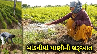 આજનું કામ 🏃🏃દોડા દોડનું અને Village Life Vlogs, Gamdu,Amit Rinkal Vlogs