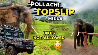 Topslip Forest Ride| Elephant Safari |Pollachi best  Places | Balasvoyage