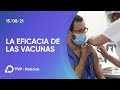 Coronavirus en la Argentina: la eficacia de las vacunas