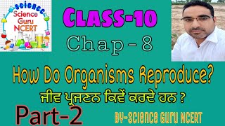 Class-10 SCIENCE Chap- How do organisms reproduce?(ਜੀਵ ਪ੍ਰਜਣਨ ਕਿਵੇਂ ਕਰਦੇ ਹਨ ?) Part-2 PSEB NCERT