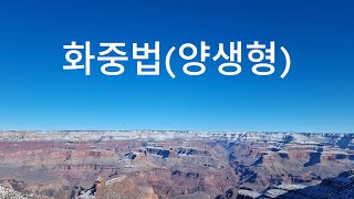 181. 양생 화중법 ㅣ기초반ㅣ워크샵ㅣ국선도 ㅣ기공 ㅣ국선기공 ㅣ국선무도 ㅣKouksundoㅣKigongㅣQigongㅣHwajungbeopㅣBasic classㅣWorkshop