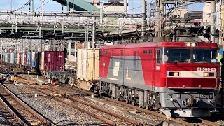 JR貨物EH500形63号機＋コキ20B（両）が大宮駅4番線を通過するシーン（3054レ・仙貨A113・コンテナ輸送）2025.1.26