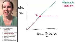 Reabsorption 3- Transport maximum