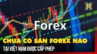 Ngân hàng Nhà nước: Không cấp phép bất kỳ sàn Forex nào tại Việt Nam| Tin tức