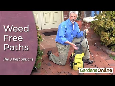 Weed Free Paths Weed Free Paths