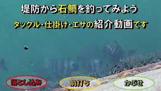 堤防から石鯛を釣ってみよう タックル・仕掛け・エサの紹介動画です