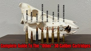 Ultimate Guide To The Other 30 Caliber Rifle Cartridges | 303 British, 7.62x39, 7.62x54R & More!