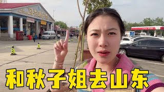 参加完婚礼后，与秋子姐一起去山东，开20个小时的车人都给整懵了！【湘西石三妹】