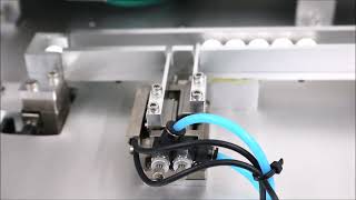"ESCAPEMENT UNIT" 【PST】 - Pico Synchro - Synchronized Two Linear Guides Actuator