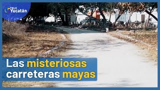 👉Conoce los Sacbé o carreteras mayas, el secreto mejor guardado es descubierto😲 | TELE Yucatán