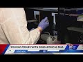 How investigators are using your DNA to solve crimes