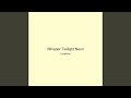 Whisper Twilight Neon