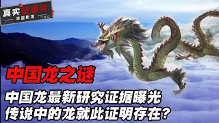 龙竟然真的存在？古代还有专门养龙人，是虚构还是事实？纪录片