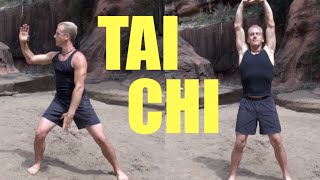 10 Minute Tai Chi Lesson - Amazing!