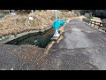 ⛲️円形分水　行ってきた　熊本県の山都町　通潤橋の近く 用水路 円 water