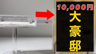 【引越し編】１万円の巣に引っ越した結果が大変な事になった・・・。