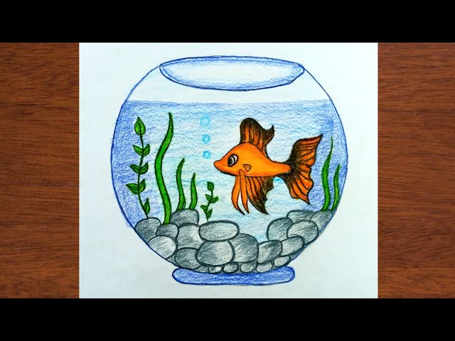 Fish Tank Drawing Ideas Infoupdate Org
