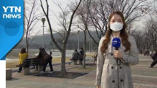 [날씨] 내일 올봄 들어 가장 포근...주말 전국 봄비 / YTN