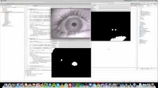 Basic Pupil & Glint Detection (Python & OpenCV)