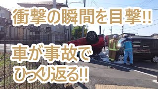 大事故!車がひっくり返る衝撃の瞬間！ゴールデンレトリバーティト。