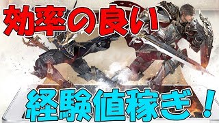 【リネレボ】効率よく経験値を集める方法を解説します！【リネージュ2レボリューション】