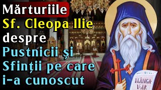 🔴 Mărturiile și Pildele Sfântului Cleopa Ilie despre Pustnicii și Sfinții pe care i-a cunoscut