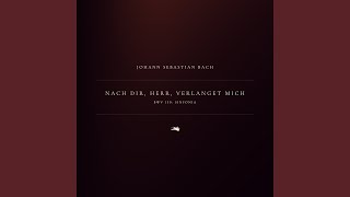 Nach dir, Herr, verlanget mich, BWV 150: Sinfonia