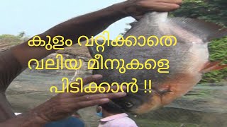 Best Fishing, കുളം വറ്റിക്കാതെ വലിയ മീനുകളെ പിടിക്കാം !! ഉടക്കു വല ഇത്ര സൂപ്പറോ ?