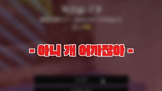 아니 개 어까잖아