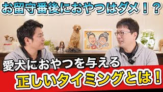 【愛犬におやつを与えるベストなタイミングとは】ペットショップ店長が解説します！