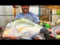 KASIMEDU 🔥 CHEETAH DURAI | BIG DIAMOND TREVALLY FISH CUTTING VIDEO | IN KASIMEDU | FF CUTTING 🔪