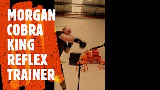 Morgan King Cobra Freestanding Reflex Trainer | Morgan Sports