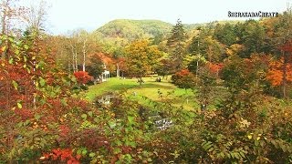 紅葉の福原山荘 - 鹿追町 2013 Colored Leaves in Fukuhara mountain cottage