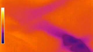 SATIR Building Thermography