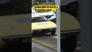 As if a Lamborghini Urraco wasn‘t rare enough already! #cartok #automobile