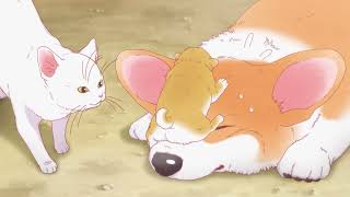 『The corgi and the samurai ～kunkun～』Shunsuke Takeuchi ver. Episode 14