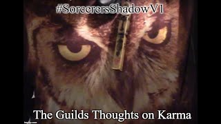 #SorcerersShadowV1 The Guilds Thoughts on Karma