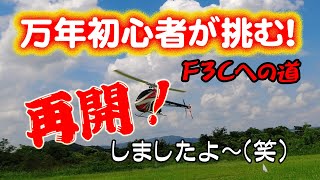 ラジコンヘリコプター　「F3Cへの道！」再開！でオートロとパターン練習をやってみた。　RC道楽Vol.55