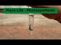 Plant Life - Photosynthesis | ThinkTac | DIY Science